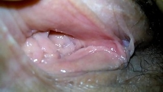 Wife Pussy - My wife's pussy d.